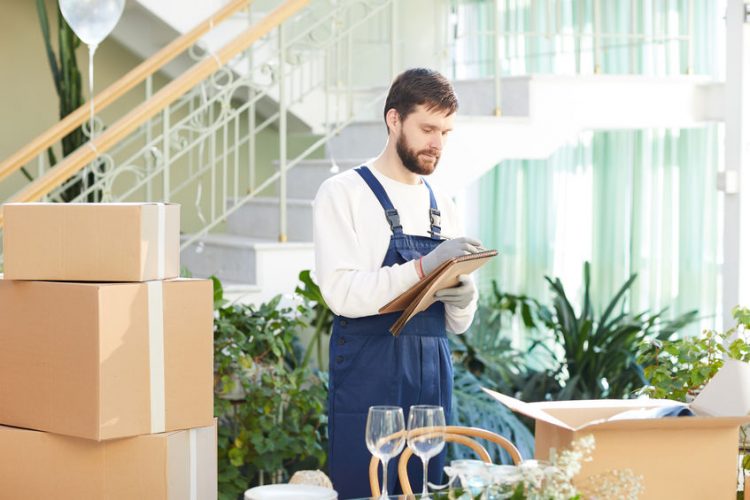 professional mover