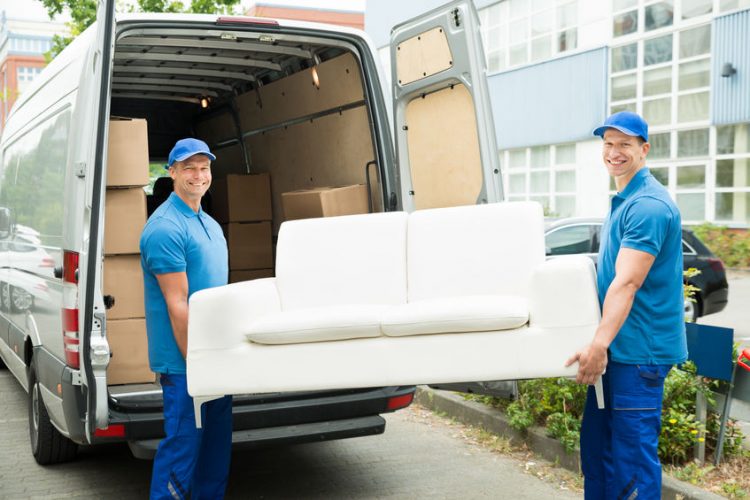 professional movers