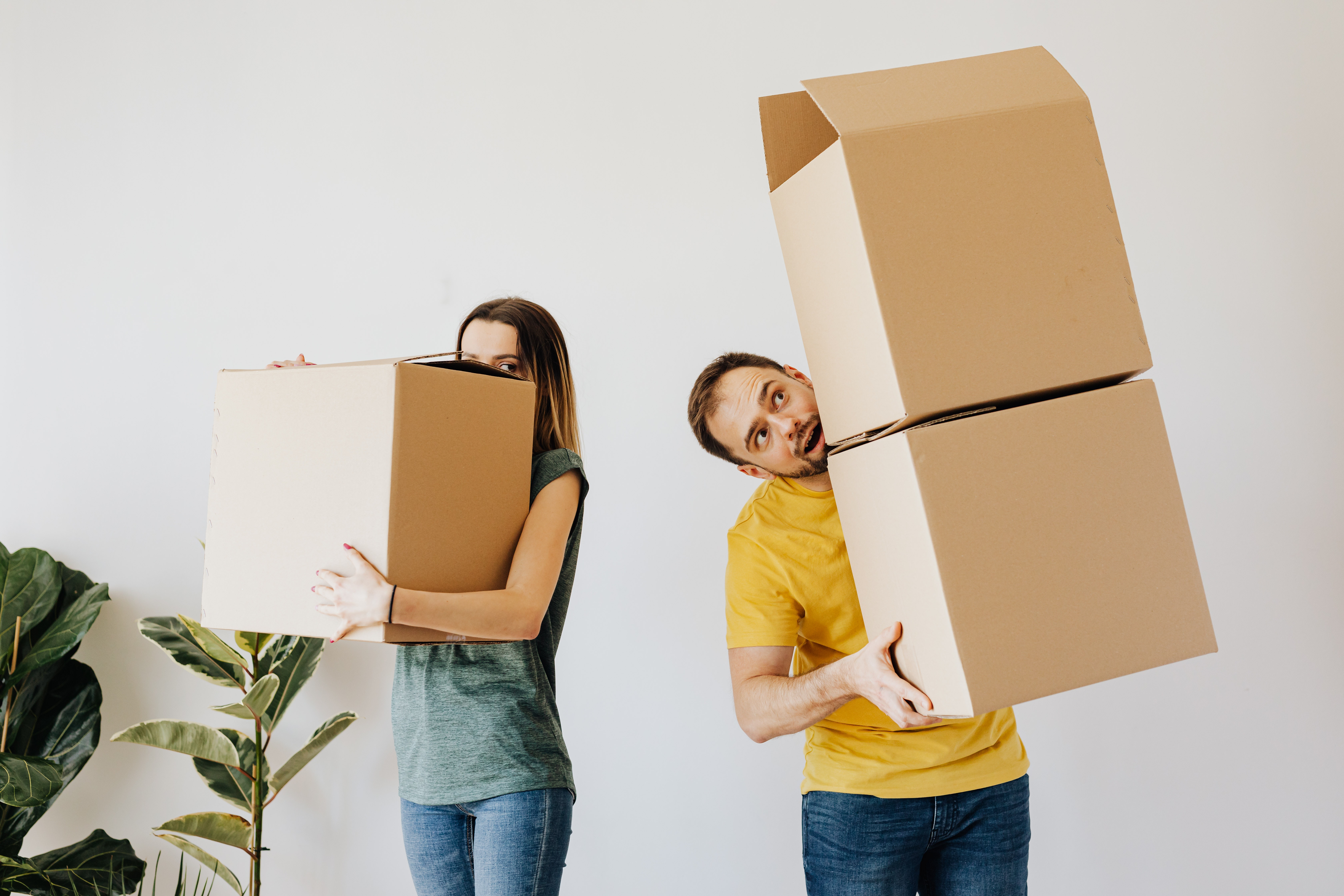buy boxes